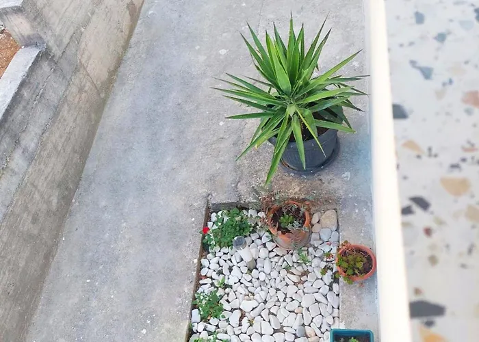 House Spark Vikendica